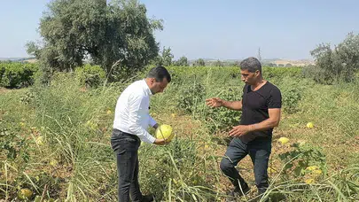 CHP’li Başevirgen: Bu düzen çiftçiyi bitirir!