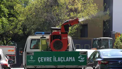 Çankaya Belediyesi'nden yaz aylarında haşereyle etkili mücadele çalışmaları
