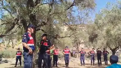 Muğla'da zeytin ağaçlarına karşı protesto: Muhtar ve 3 köylü gözaltında