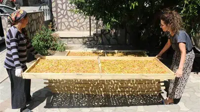 Anne-kız 'incir cipsi' ile girişimci oldu