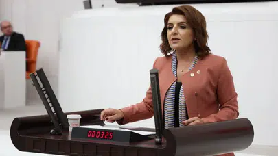 CHP'li Gülcan Kış: 4 milyon NEET genç sahipsiz, acil çözüm şart!