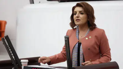 CHP'li Gülcan Kış'tan, köprüler ve otoyolların özelleştirmeye açılmasına sert tepki