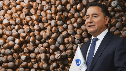 Ali Babacan'dan fındık üreticilerine destek: "20 milyar dolara karşı 2,5 milyar dolar"