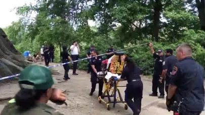 Central Park'ta meydana gelen patlamada bir kişi ağır yaralandı