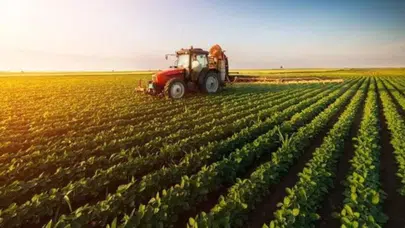 TÜİK 2025 Aralık Tarım Ürünleri Fiyat Endeksi'ni açıkladı: Yıllık artış yüzde 36,01 oldu