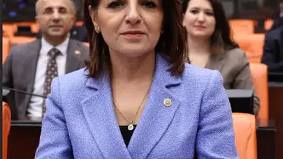 CHP'li Kış, kredi borçları için yeniden yapılandırma teklifi verdi