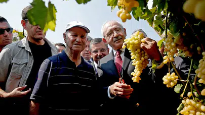 CHP'den 'Büyük Üzüm Mitingi'