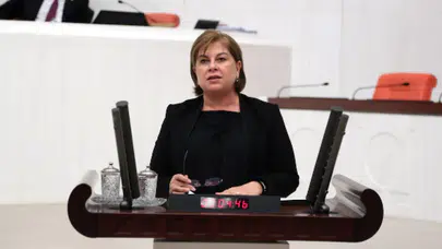 CHPli Elif Doğan Türkmen: Çiftçiye 300 koyunun temini nereden yapılacak?