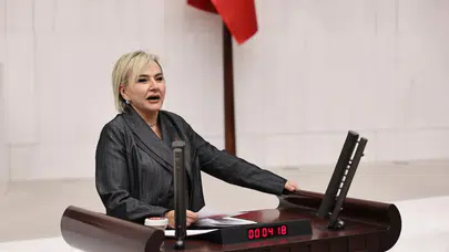CHP'li Nimet Özdemir: Hayvanlara yapılan zulüm, toplumsal şiddeti besliyor!