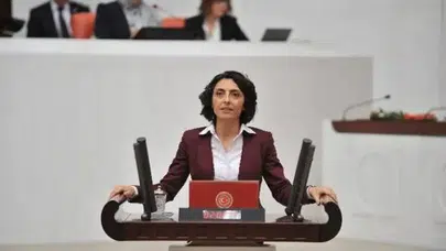 CHP BURSA MİLLETVEKİLİ NURHAYAT ALTACA KAYIŞOĞLU ÇOCUK DİLENCİLİĞİNİ MECLİSE TAŞIDI
