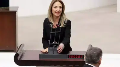 Atatürk Orman Çiftliği'ndeki oto pazarı Meclis gündeminde