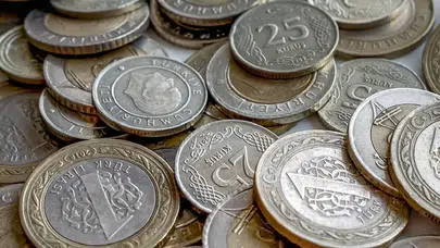 208 milyon adet 1 kuruş kimin elinde?