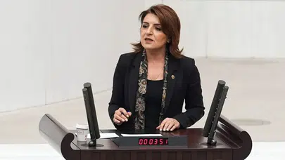 CHP'li Kış sert eleştiriler: Kültür Yolu Festivali AKP propaganda şovuna mı dönüştü?