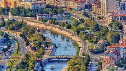 Tokat'taki boş arazide hayvan kemikleri bulundu