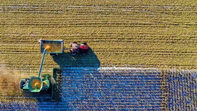 Çiftçilere 30 milyon avroluk hibe desteği: IPARD III 11. çağrı yayımlandı