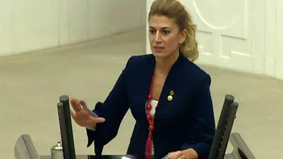 DİDEM ENGİN'DEN AVRUPA KONSEYİ PARLAMENTER MECLİSİ'NDE TÜM AVRUPA LİDERLERİNE TÜRKİYE-AB İLİŞKİLERİNİ GÜÇLENDİRMEDE İNİSİYATİF ALMALARI İÇİN ÇAĞRI