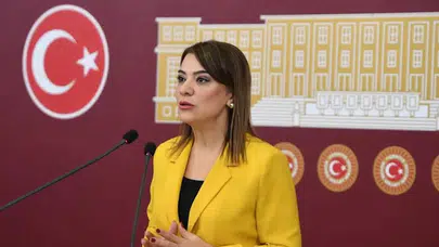 CHP'Lİ GAMZE TAŞÇIER:“SGK DA VERİLERİ BÖYLE TUTUYORSA VAY HALİMİZE DEMEK LAZIM”