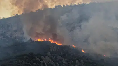 Antalya'da Alevlerle Amansız Mücadele: Kaş Yangınında Son Durum!