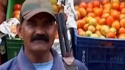 Hindistan'da fiyatı iki katına çıkan domatese silahlı koruma