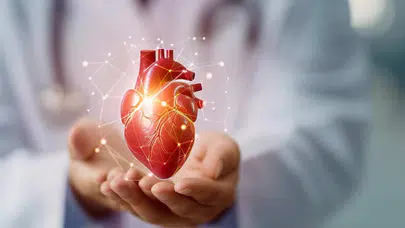 Kalp Sağlığı İçin Nelere Dikkat Etmeliyiz? Kalp Hastalıkları Belirtileri Nelerdir? Kalp Nedir?