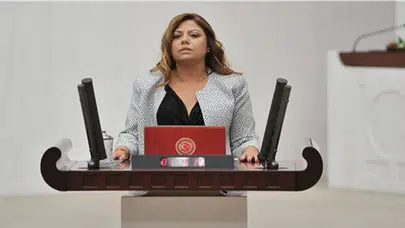 CHP'Lİ ALTIOK'TAN BAŞBAKAN YILDIRIM'A ÜNİVERSİTE SORULARI