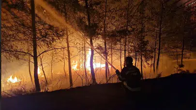 Muğla'da Yangın Riski Artıyor, Anız Yakımına Dikkat Uyarısı Yapıldı