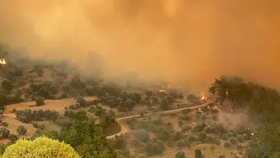 Muğla Seydikemer yangını Antalya Kaş sınırlarına sıçradı