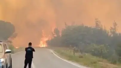 Susurluk'ta Orman Yangını Büyüyor! Belediye Başkanı Canlı Yayında Yaralandı