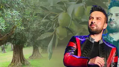 Tarkan'ın zeytinlik tepkisine bakandan skandal yanıt