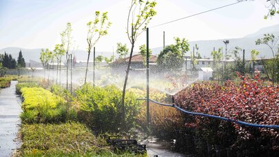 Bornova Belediyesi’nden Yeşil Dönüşüm