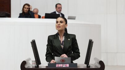 Gizem Özcan: "Aşılat, Kısırlaştır, Yerinde Yaşat" İlkesi Terk Edildi
