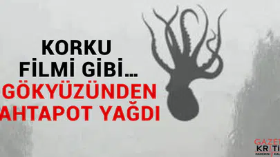 Korku filmi gibi… Gökyüzünden ahtapot yağdı