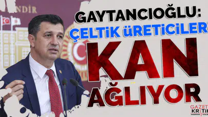 CHP'li Okan Gaytancıoğlu: Çeltik Üreticileri Kan Ağlıyor