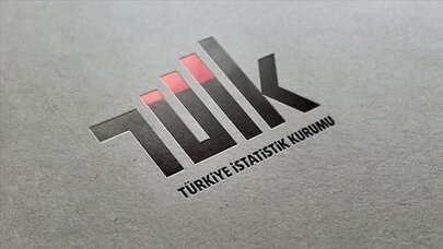 TÜİK Verileri: Taşıt Kayıtları Arttı, Benzinli ve Hibrit Otomobiller Öne Çıktı