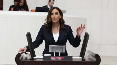 DEVA Partili Rızvanoğlu'ndan Kuşdili Çayırı İçin Meclis Hamlesi