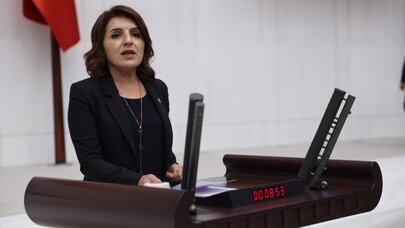 CHP'li Gülcan Kış: Ekonomi Çöküyor, İktidar Koltuğunu Koruma Peşinde