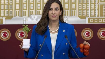 Evrim Rızvanoğlu’ndan Tarım Bakanı’na 9 Soruluk Pestisit Önergesi: “Gıda Güvenliği Tehlikede”
