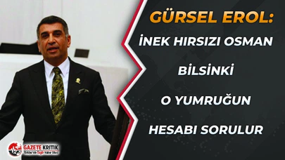 Gürsel Erol, linç girişimini Meclis'e taşıdı:İnek hırsızı Osman bilsin ki o yumruğun hesabı sorulur