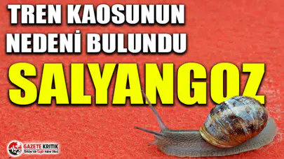 Japonya'da tren kaosunun nedeni bulundu: Salyangoz