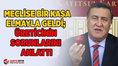 MECLİSE BİR KASA ELMAYLA GELDİ; ÜRETİCİNİN SORUNLARINI ANLATTI