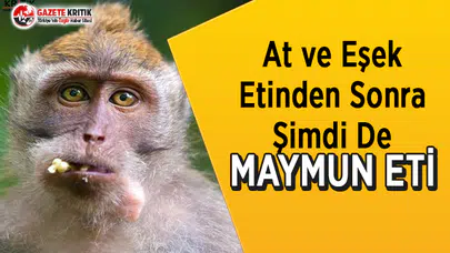 At ve Eşek Etinden Sonra Maymun Eti