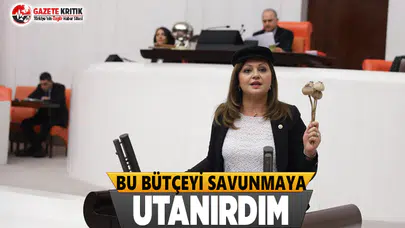 Bu Bütçeyi Savunmaya Utanırdım