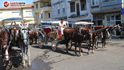Ruam Kabusu Şimdi de Bolu'ya Sıçradı