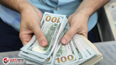 Dolar 2 haftanın en yükseğinde