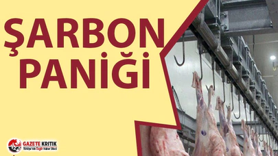 BURSA'DA ŞARBON PANİĞİ