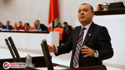 CHP'li Aygun’dan Sağlık Bakanı’na çağrı: Pandemi Çağında Veteriner Hekimlerin rolü artsın!