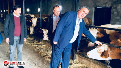 CHP'li Gürer: Hayvandan İnsana  hastalıklar bulaşması daha dikkatli takibi artık şarttır