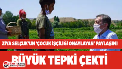 Bakan Selçuk'un 'çocuk işçiliği normalleştiren' paylaşımı büyük tepki çekti!