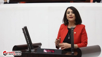 Gamze Taşcıer: Her 6 genç kadından sadece biri istihdam ediliyor
