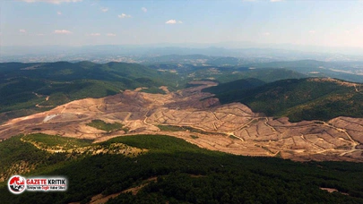 TEMA Vakfı: Kazdağlarının yüzde 79'u maden ruhsatlı